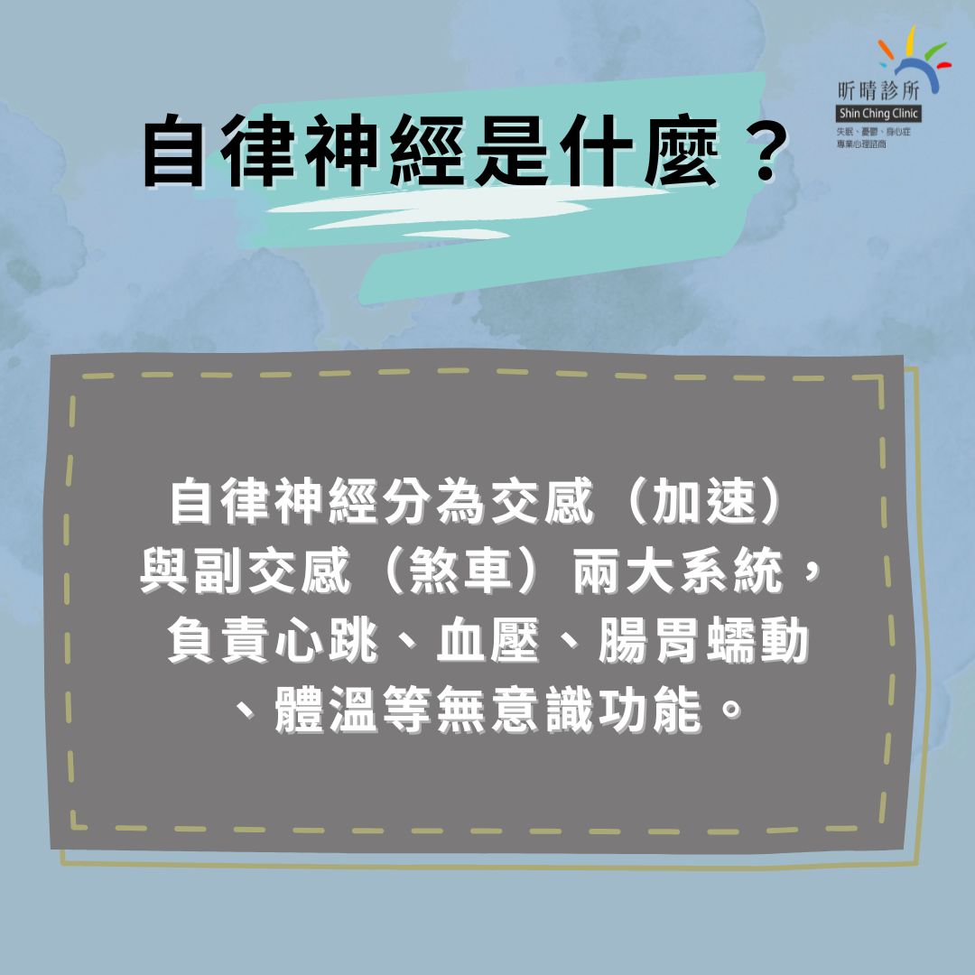 自律神經失調PTT熱議話題!你忽略的小毛病,其實藏著大警訊 1 自律神經是什麼?